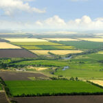 img_agriculture